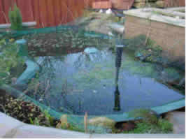 pond with netting over